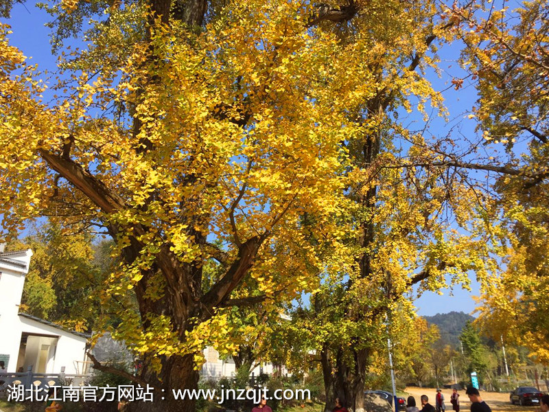 微信圖片_20171029065035.jpg